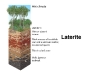 o_Laterite busqqueda Google